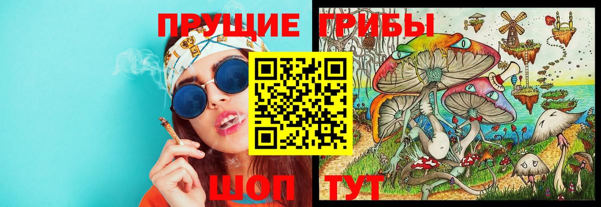 Уварово  Псилоцибиновые грибы MAGIC MUSHROOMS  Вход с VPN  Псилоцибиновые грибы Magic Shrooms 