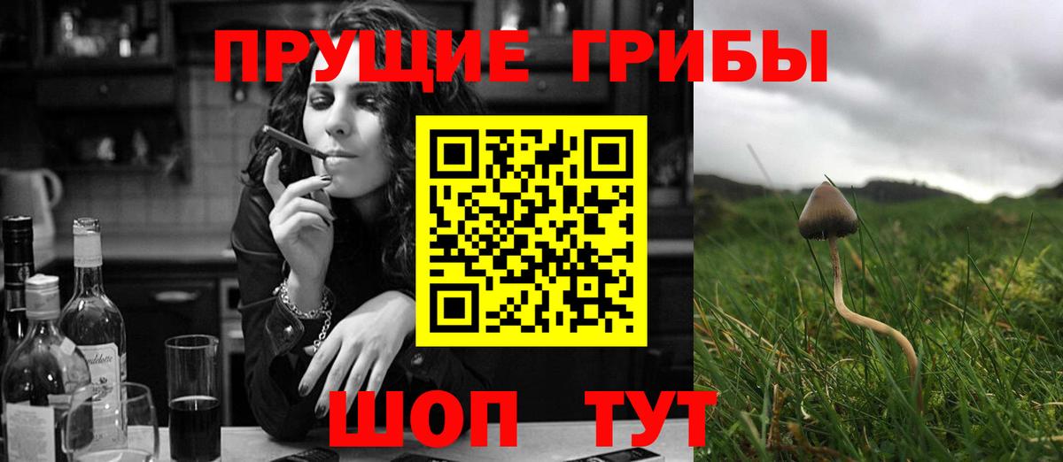 Псилоцибиновые грибы Psilocybine cubensis Уварово